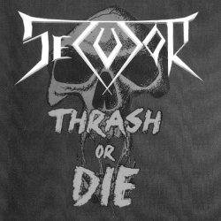 Thrash Or Die cover