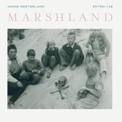 Marshland cover