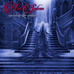 Courting The Widow cover