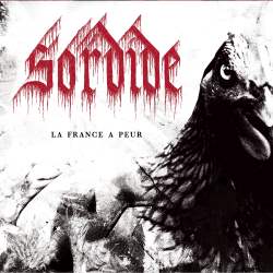 La France a peur cover