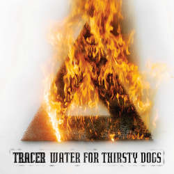 Water For Thirsty Dogs cover