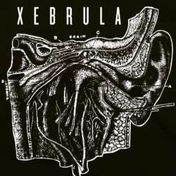 Demo 2015 cover