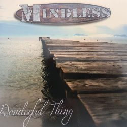 Wonderful Thing cover