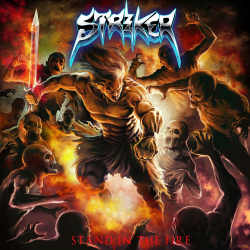 Stand In The Fire cover