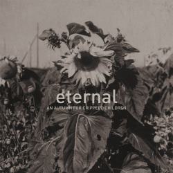 Eternal cover