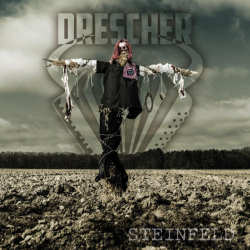 Steinfeld cover
