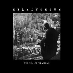 The Fall Of Paradigms cover