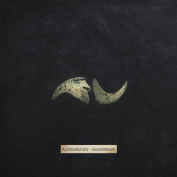 Palindrome cover