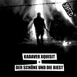 Split-CD cover
