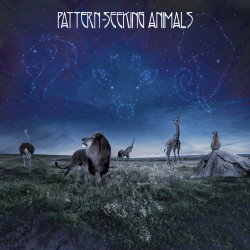 Pattern-Seeking Animals cover