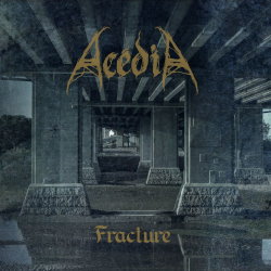 Fracture cover
