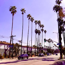 California Vibes cover