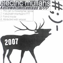 Electric Mullahs - Kattuwattmittanfaan'n???