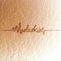 Moleskin - Voluntary Inventory (Of Not A Very Nice Everyday Life)
