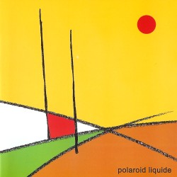 Polaroid Liquide cover