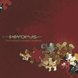 Our Puzzling Encounters Considered cover