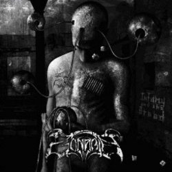 Infamy And The Breed cover