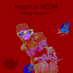 Cheap Flowers cover