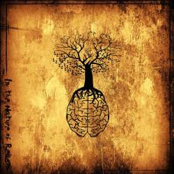 In The Nature Of Reason cover