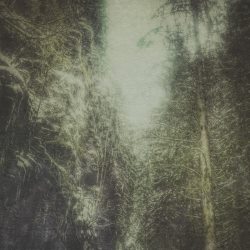 Earth I cover