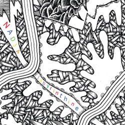 Labyrinthine cover