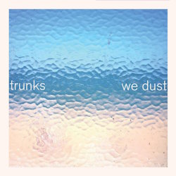 We Dust cover